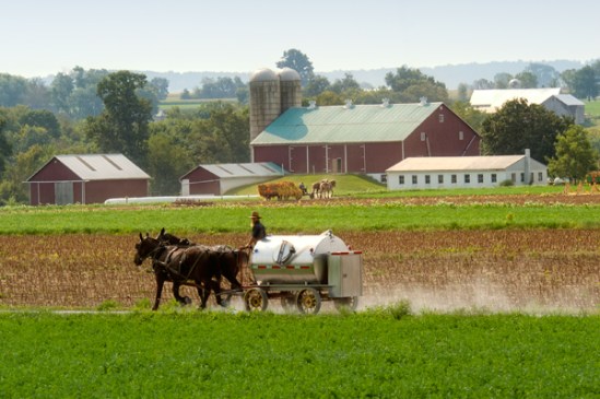 amish-at-work