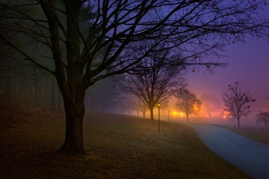 akron-park-fog2