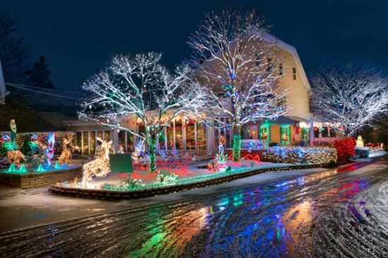 leola-christmas-lights2