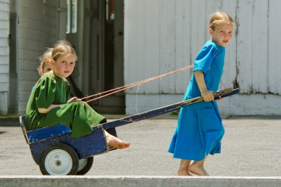 amish-bkue-rickshaw