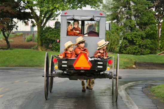 amish-brothers-buggy-trio