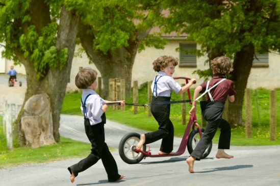 amish-kids-harness