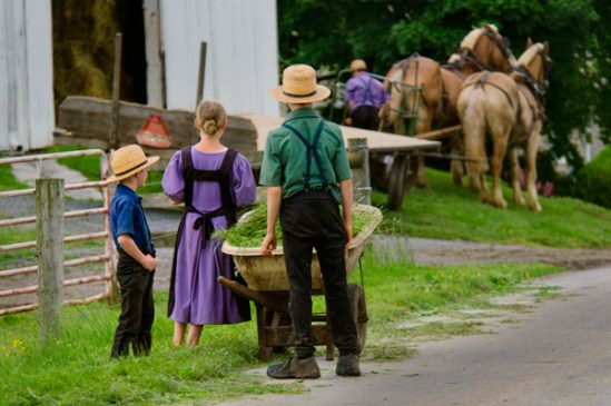 amish-kids-watch-dad