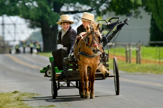 amish-mower-delivery2