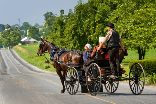 amish-buggy-hitcher