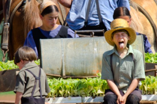 amish-family-planting3