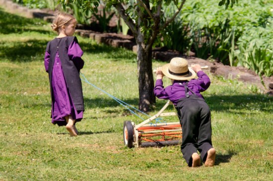 amish-lawn-mower