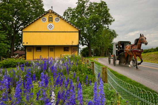 amish-pass-resslers