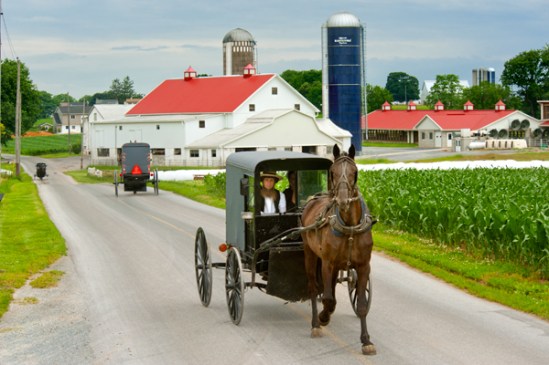 amish-red-roof