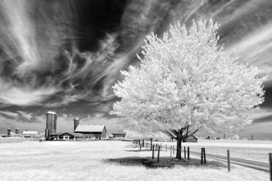 infrared-farm-scenic