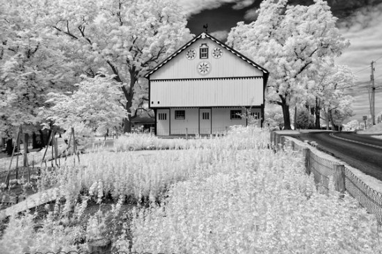 infrared-garden