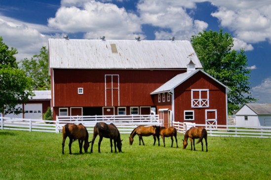 leola-horse-farm