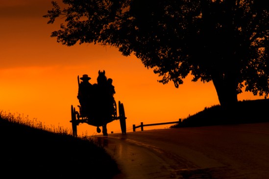 amish-buggy-silhouette