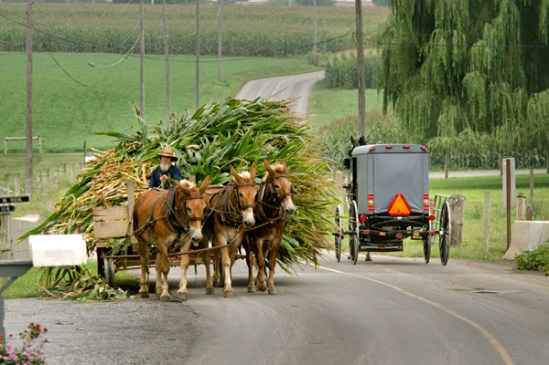 amish-load-yielding