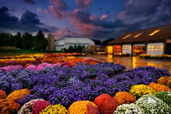 evergreen-produce-stand