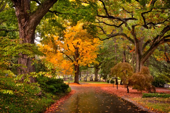 mount-auburn-cemetery