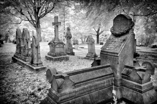 mount-auburn-cemetery14