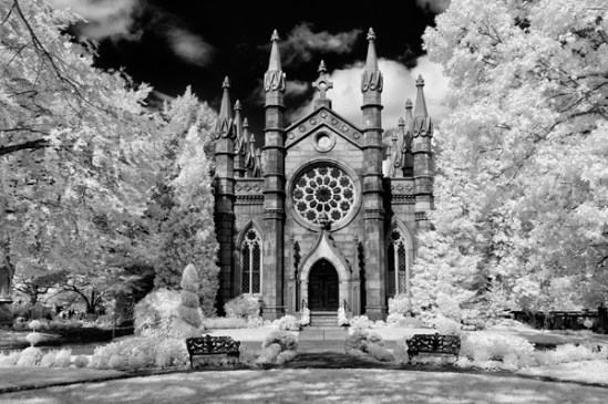 mount-auburn-cemetery15