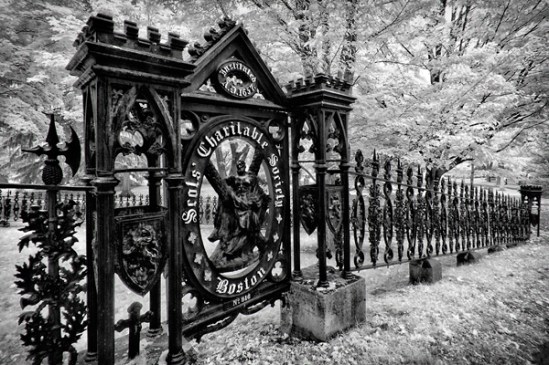 mount-auburn-cemetery7