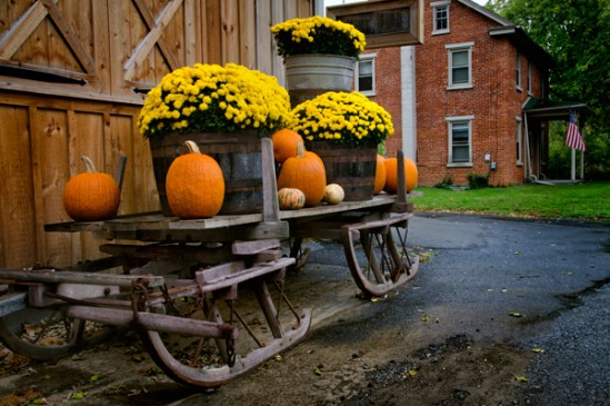 sleigh-with-pumpkins