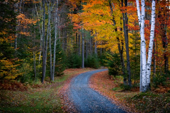vermont-fall-backroad
