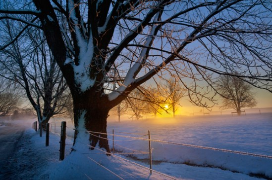 fog-snow-sunrise