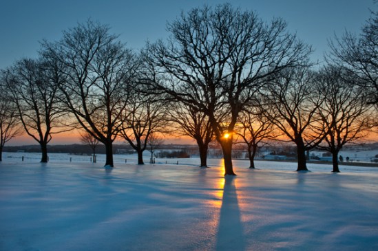 Icy-snow-tree-sunset