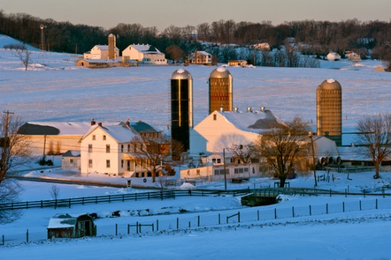 churchtown-farms-snow