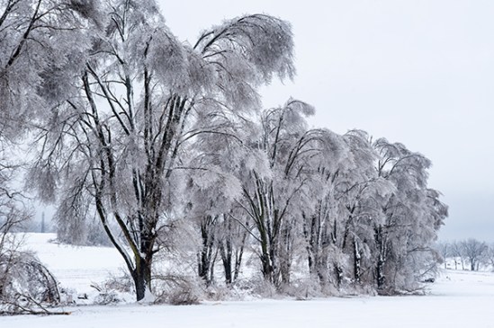 2014-ice-storm