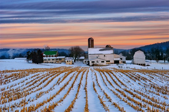bowmansville-farm-sunrise2