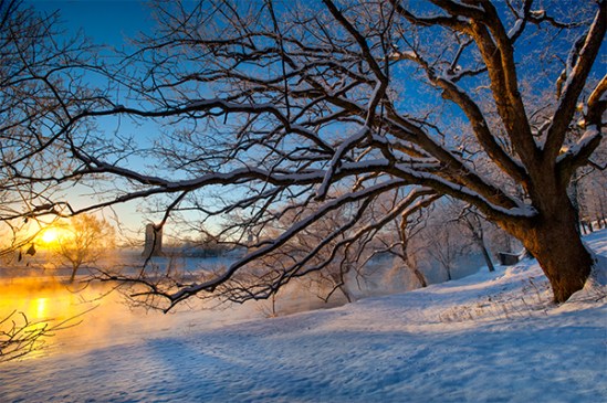 quarry-rd-tree-sunrise3