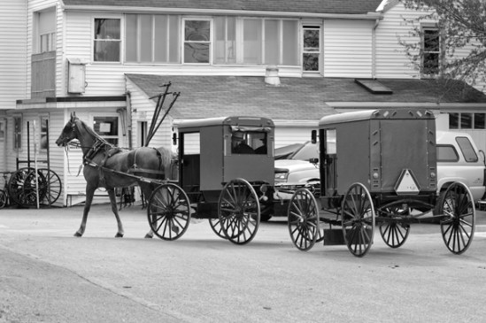 amish-double-buggy