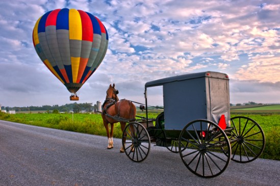 bird-in-hand-balloons4