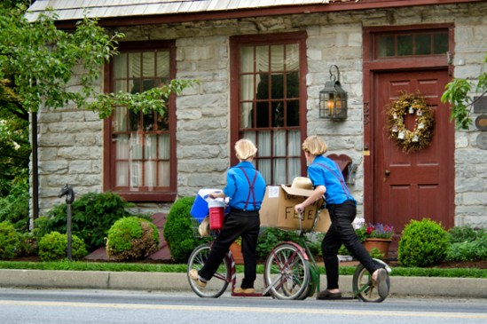 amish-fedex