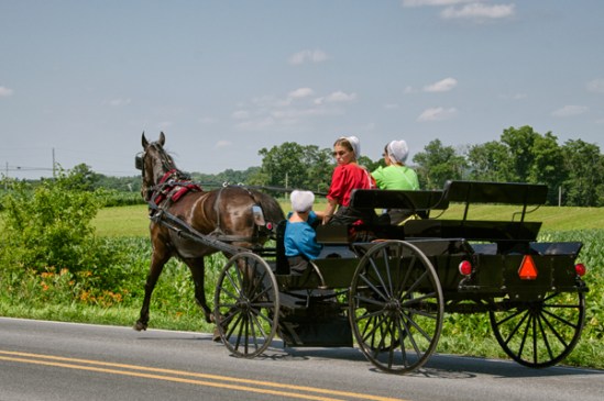 amish-primaries