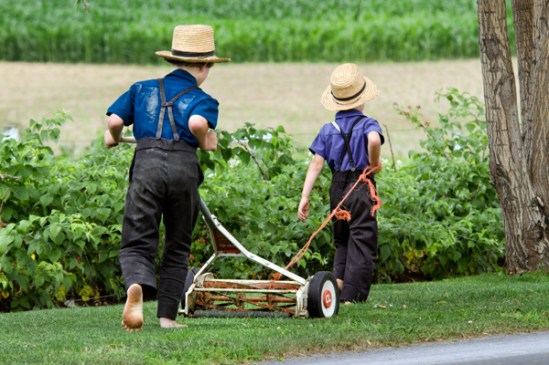 amish-brothers-mowing