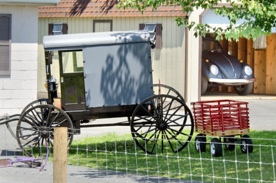 amish-bug&buggy