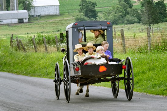 amish-buggy-family