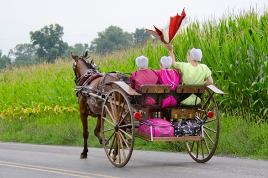 amish-exploding-umbrella