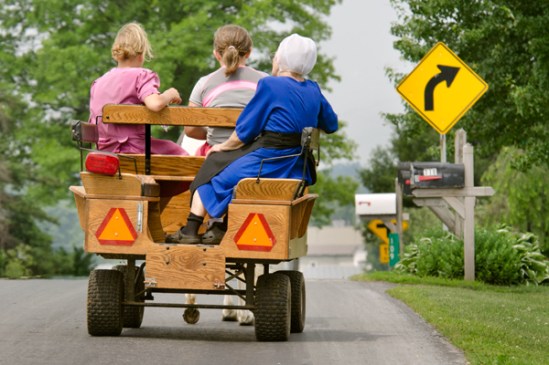 amish-grandma-ride