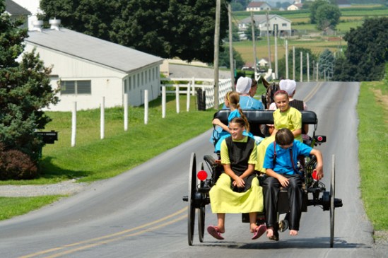 amish-loaded-buggy