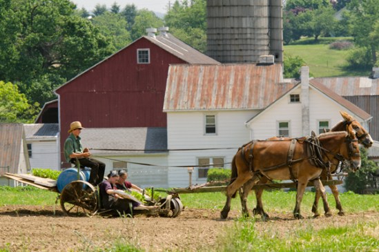amish-low-rider