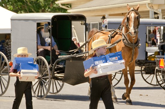 amish-shoe-day