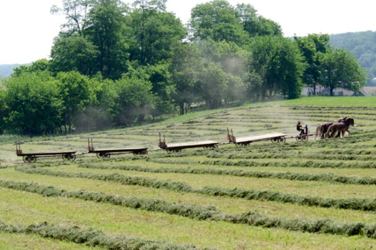 amish-wagon-train