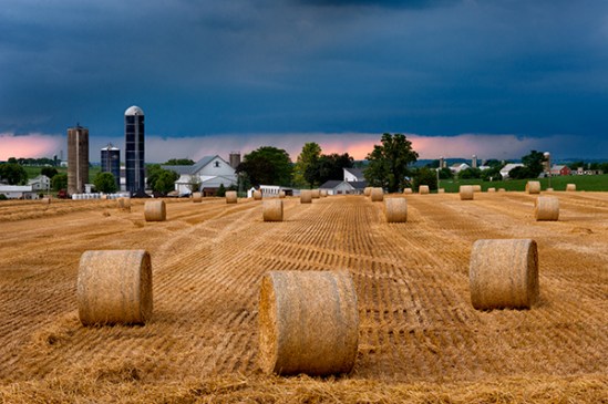 round-hay-bale-field