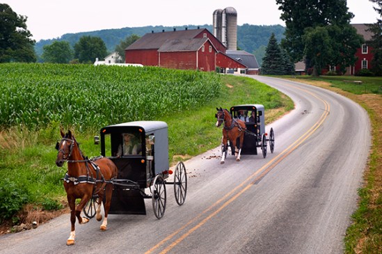 two-buggies-near-strasburg