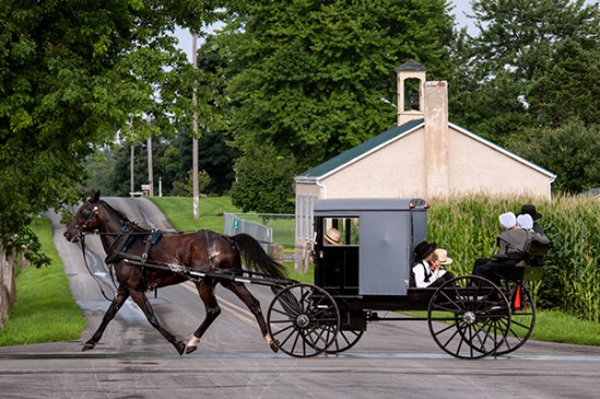 amish-rumble-seat