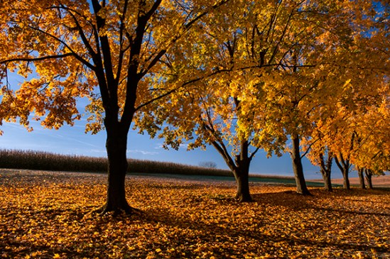 stevens-park-sunrise4