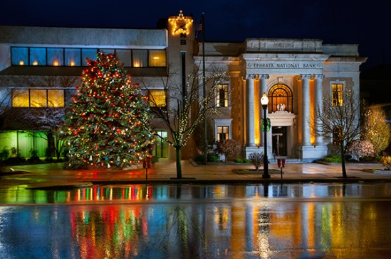 enb-bank-tree-reflection-copy