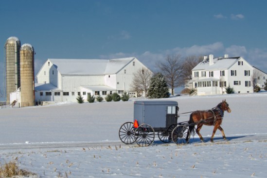 amish-buggy-cold-weather